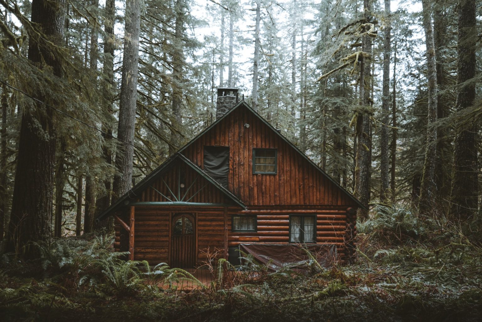 how-long-do-log-cabins-last-survival-tech-shop