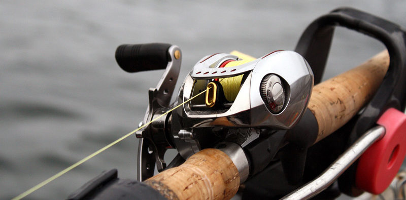 best frog fishing reel